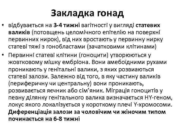 Закладка гонад • відбувається на 3 -4 тижні вагітності у вигляді статевих валиків (потовщень