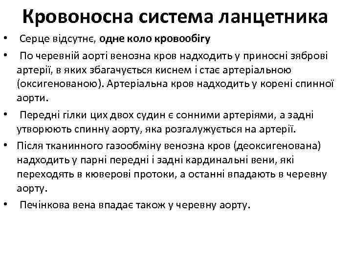 Кровоносна система ланцетника • Серце відсутнє, одне коло кровообігу • По черевній аорті венозна