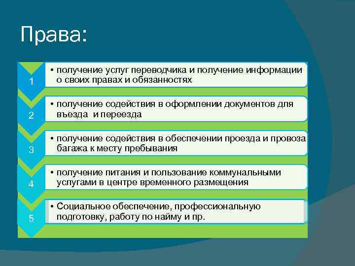 Права: 1 • получение услуг переводчика и получение информации о своих правах и обязанностях