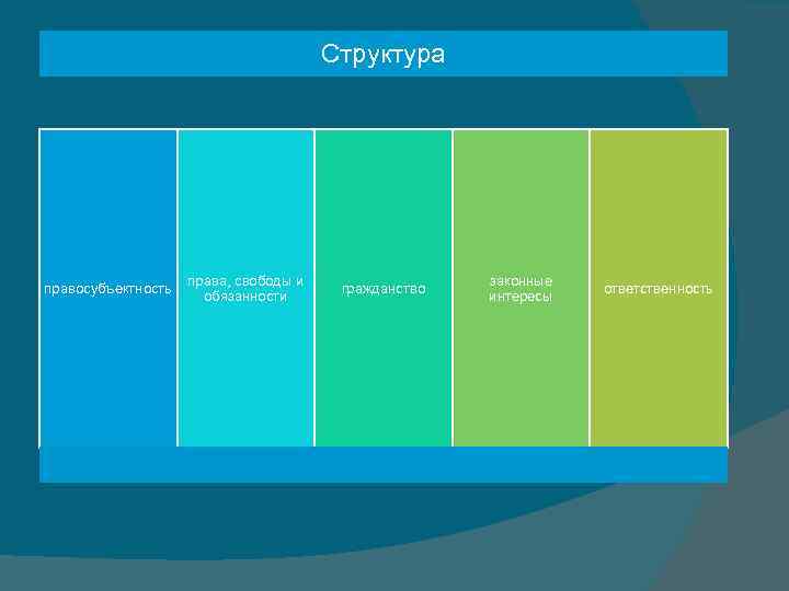 Структура правосубъектность права, свободы и обязанности гражданство законные интересы ответственность 