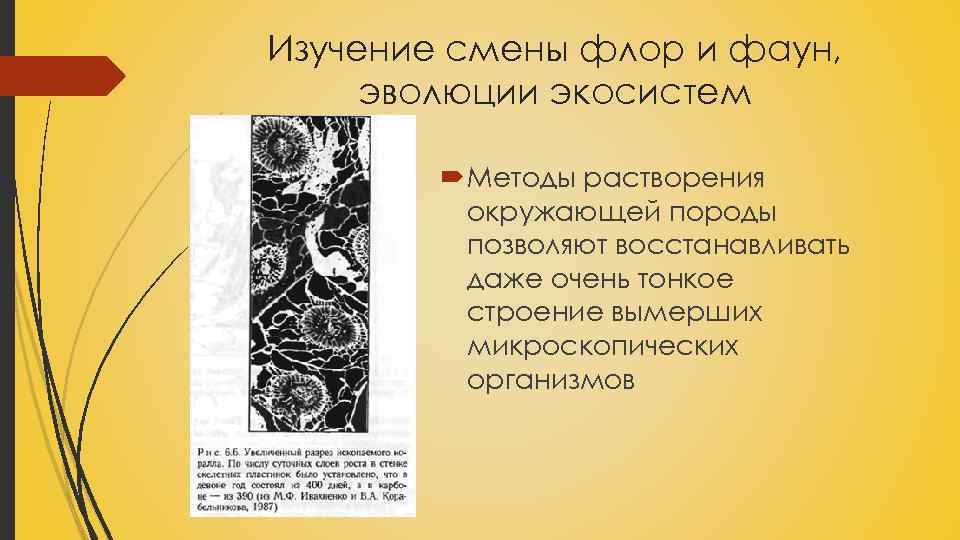 Изучение смены флор и фаун, эволюции экосистем Методы растворения окружающей породы позволяют восстанавливать даже