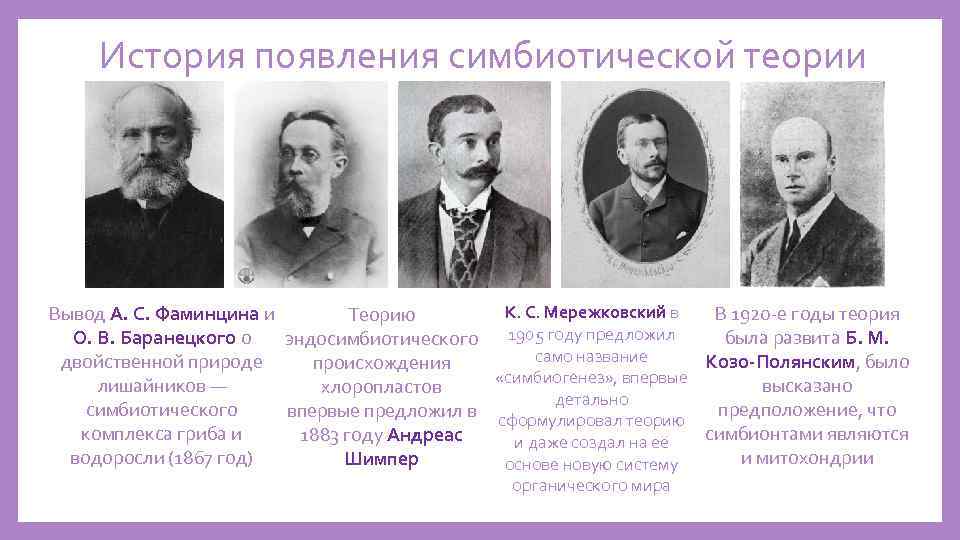 История появления симбиотической теории К. С. Мережковский в Вывод А. С. Фаминцина и В