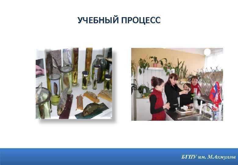 УЧЕБНЫЙ ПРОЦЕСС 7 БГПУ им. М. Акмуллы 
