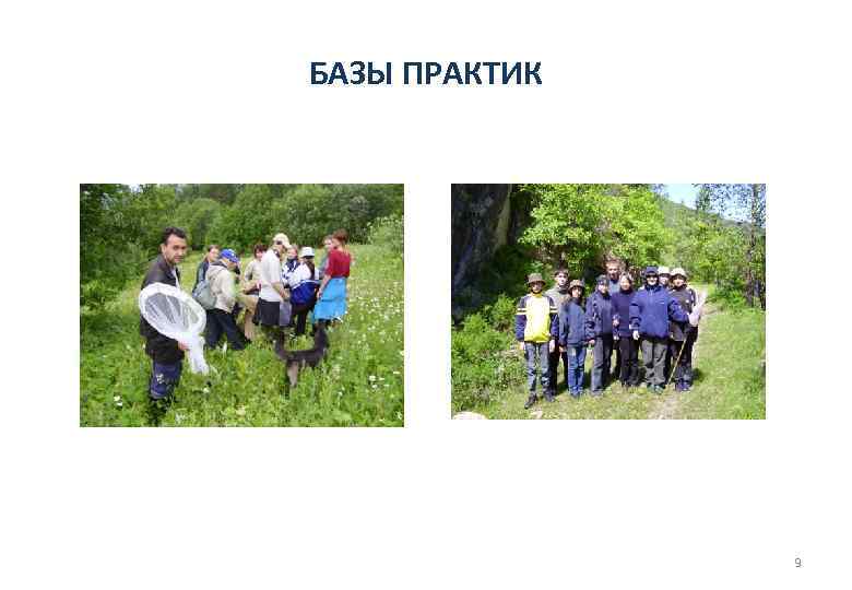 БАЗЫ ПРАКТИК 9 