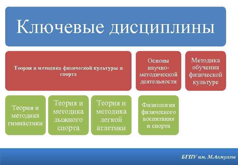 Ключевые дисциплины Теория и методика физической культуры и спорта Основы научнометодической деятельности Теория и