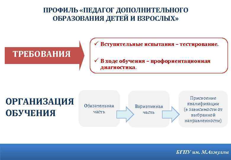 ПРОФИЛЬ «ПЕДАГОГ ДОПОЛНИТЕЛЬНОГО ОБРАЗОВАНИЯ ДЕТЕЙ И ВЗРОСЛЫХ» ü Вступительные испытания – тестирование. ТРЕБОВАНИЯ ОРГАНИЗАЦИЯ