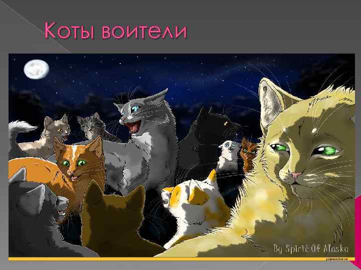 Коты воители 