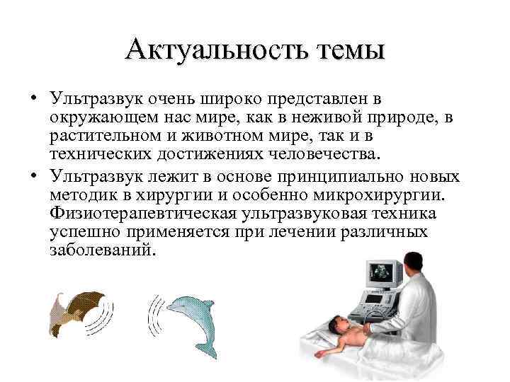Актуальность темы • Ультразвук очень широко представлен в окружающем нас мире, как в неживой