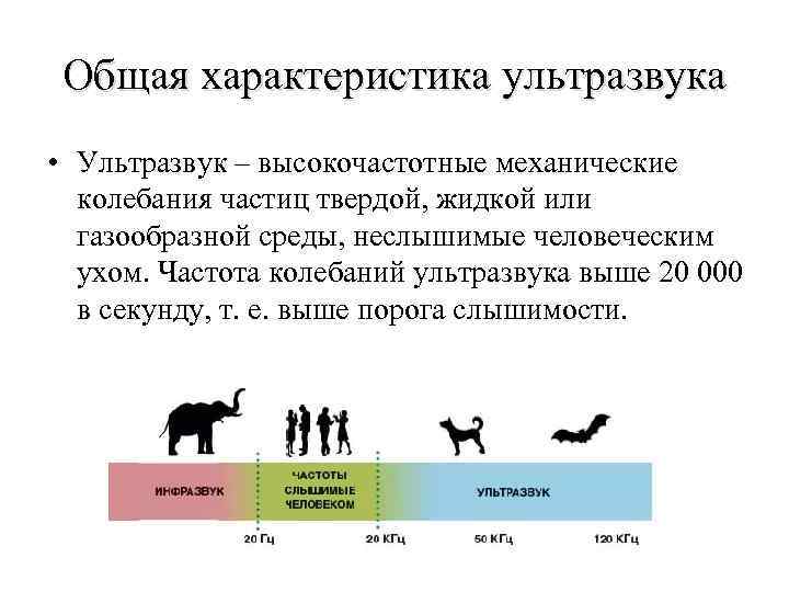 Общая характеристика ультразвука • Ультразвук – высокочастотные механические колебания частиц твердой, жидкой или газообразной
