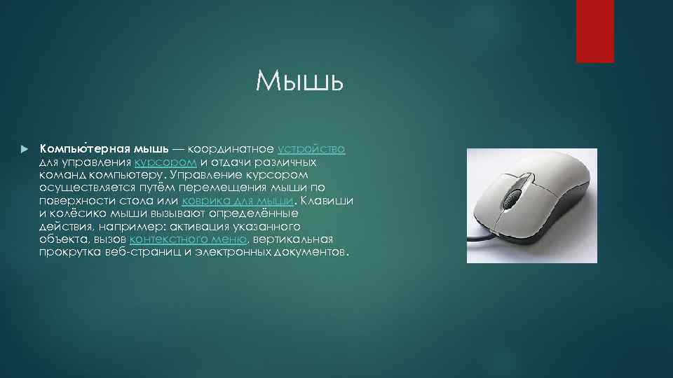 Мышь Компью терная мышь — координатное устройство для управления курсором и отдачи различных команд