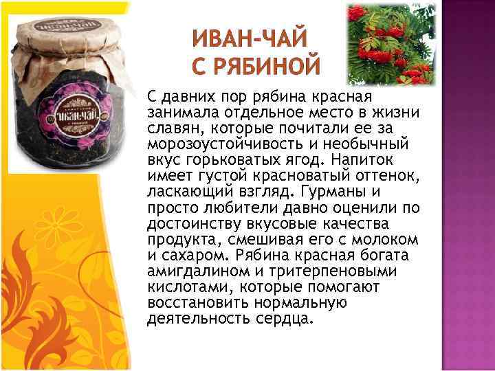  С давних пор рябина красная занимала отдельное место в жизни славян, которые почитали