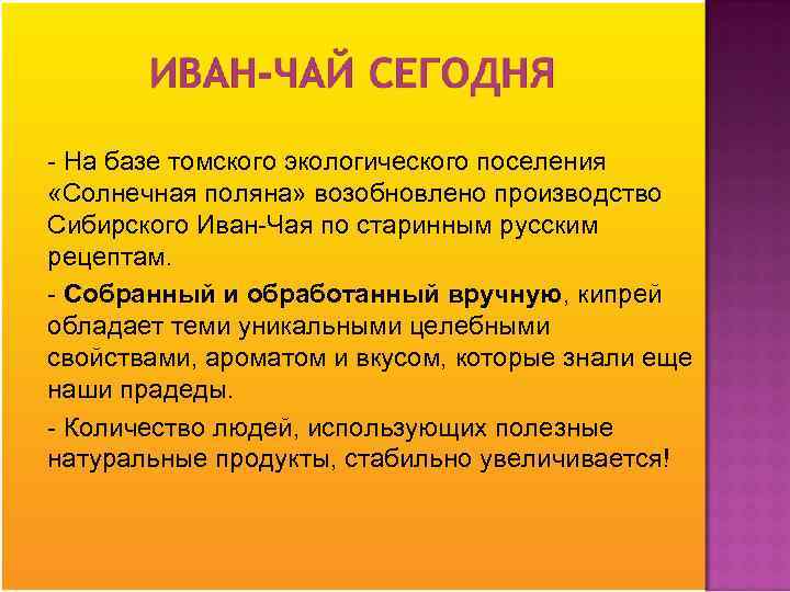 - На базе томского экологического поселения «Солнечная поляна» возобновлено производство Сибирского Иван-Чая по старинным