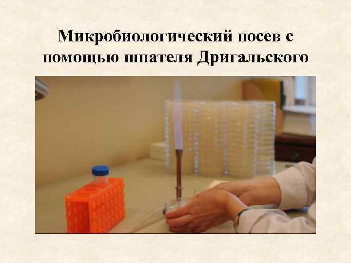 Микробиологический посев с помощью шпателя Дригальского 