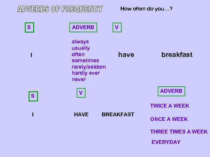 How often do you…? S ADVERB V always usually often sometimes rarely/seldom hardly ever