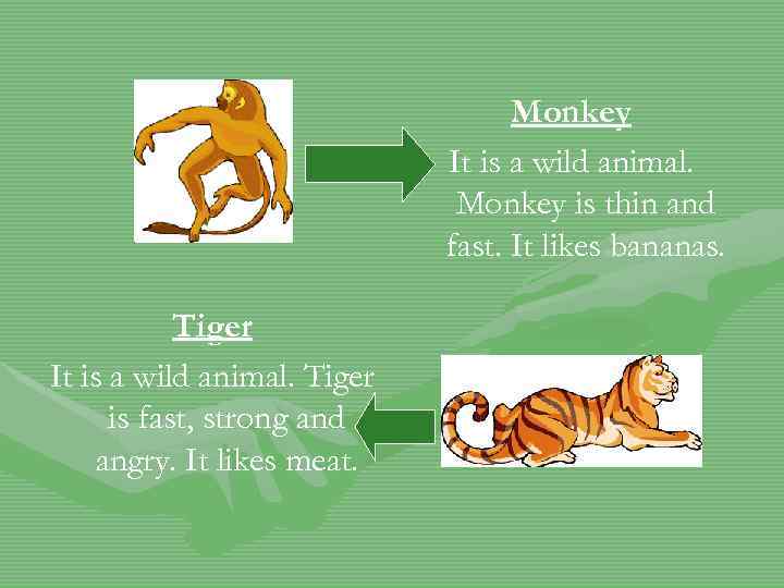 Monkey It is a wild animal. Monkey is thin and fast. It likes bananas.