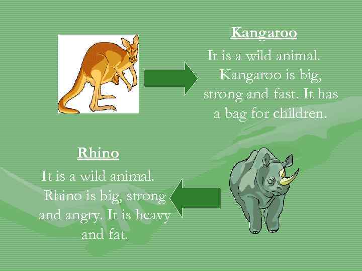 Kangaroo It is a wild animal. Kangaroo is big, strong and fast. It has