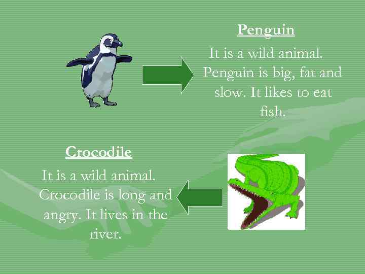 Penguin It is a wild animal. Penguin is big, fat and slow. It likes