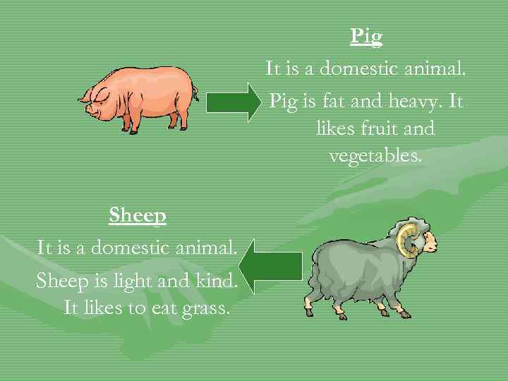Pig It is a domestic animal. Pig is fat and heavy. It likes fruit