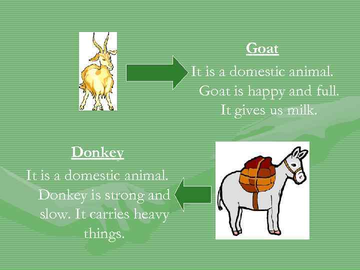 Goat It is a domestic animal. Goat is happy and full. It gives us