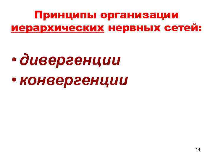 Принципы организации иерархических нервных сетей: • дивергенции • конвергенции 14 