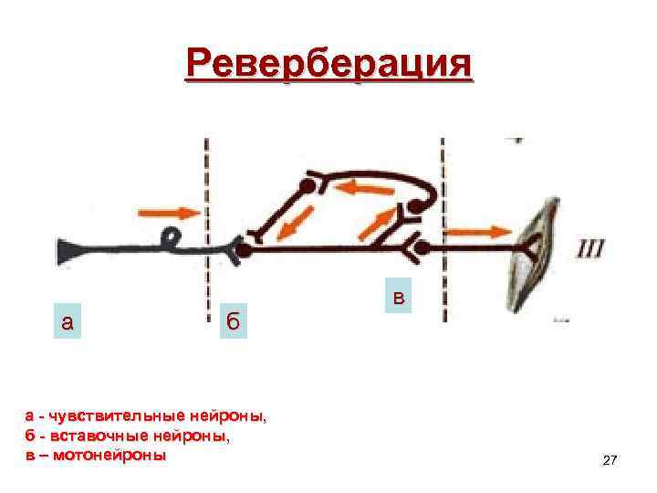 Реверберация в комнате