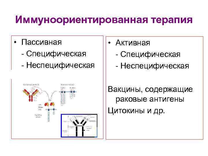 Иммуноориентированная терапия • Пассивная - Специфическая - Неспецифическая • Активная - Специфическая - Неспецифическая