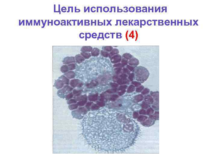 Цель использования иммуноактивных лекарственных средств (4) 