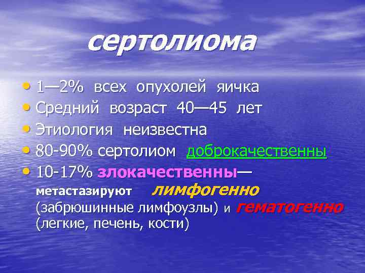 сертолиома • 1— 2% всех опухолей яичка • Средний возраст 40— 45 лет •