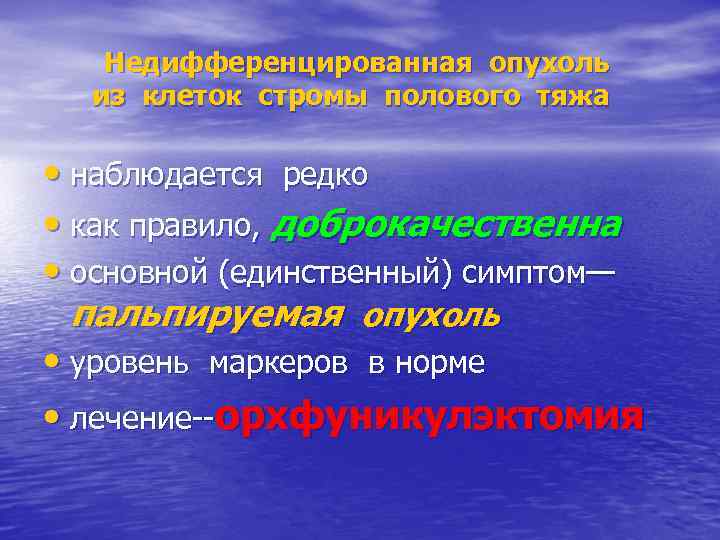 Недифференцированная опухоль из клеток стромы полового тяжа • наблюдается редко • как правило, доброкачественна