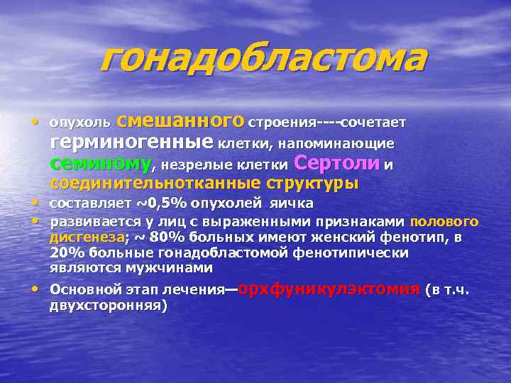 гонадобластома • опухоль смешанного строения----сочетает герминогенные клетки, напоминающие семиному, незрелые клетки Сертоли и соединительнотканные