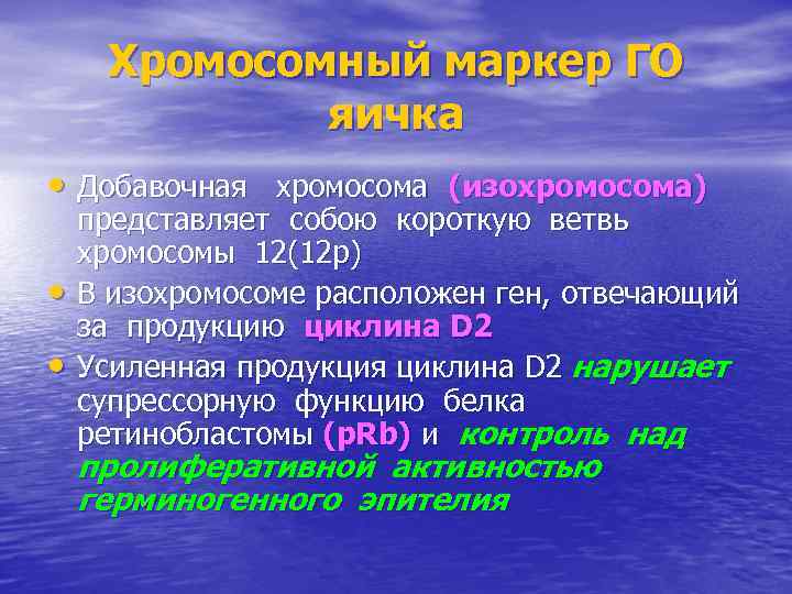 Хромосомный маркер ГО яичка • Добавочная хромосома (изохромосома) • • представляет собою короткую ветвь