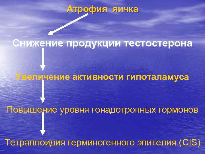 Атрофия яичка Снижение продукции тестостерона Увеличение активности гипоталамуса Повышение уровня гонадотропных гормонов Тетраплоидия герминогенного