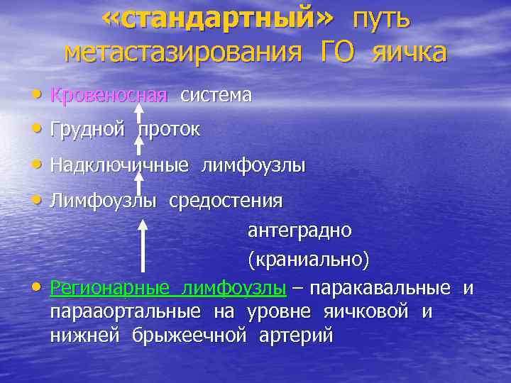  «стандартный» путь метастазирования ГО яичка • Кровеносная система • Грудной проток • Надключичные