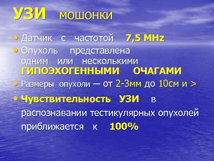 УЗИ мошонки • Датчик с частотой 7, 5 MHz • Опухоль представлена одним или