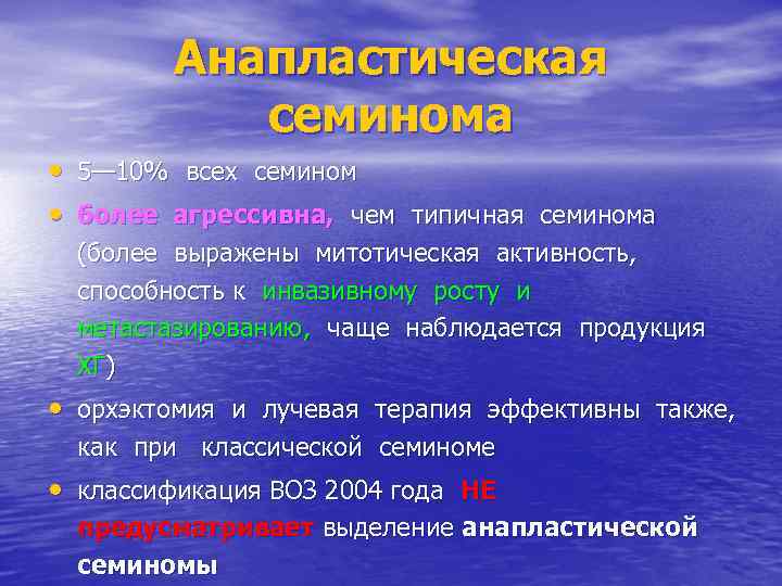 Анапластическая семинома • 5— 10% всех семином • более агрессивна, чем типичная семинома (более