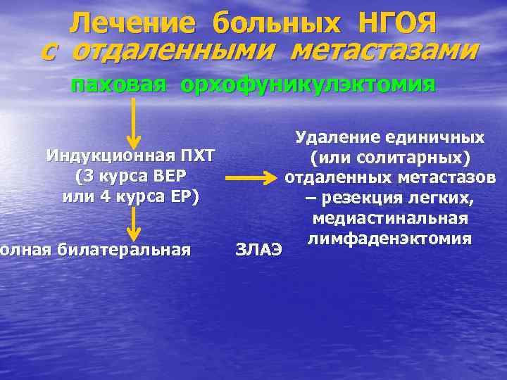 Лечение больных НГОЯ с отдаленными метастазами паховая орхофуникулэктомия Индукционная ПХТ (3 курса ВЕР или