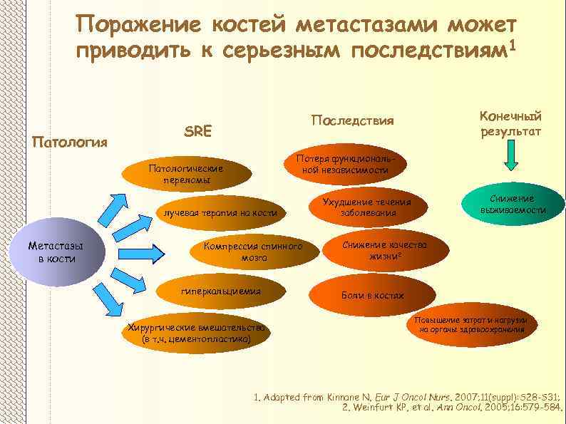 Поражение костей метастазами может приводить к серьезным последствиям 1 Патология SRE Потеря функциональной независимости