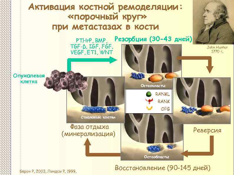 Активация костной ремоделяции: «порочный круг» при метастазах в кости PTHr. P, BMP, Резорбция TGF-β,