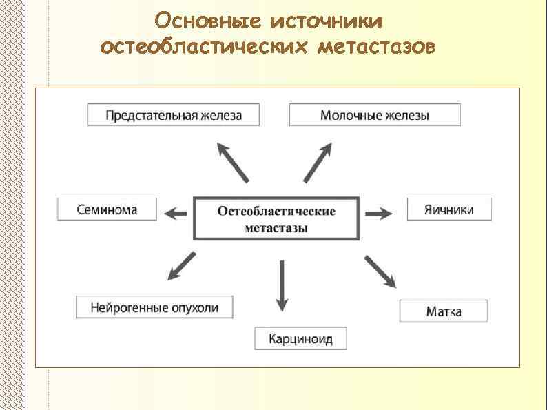 Основные источники остеобластических метастазов 