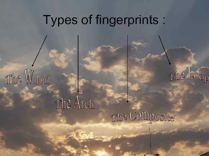 Types of fingerprints : 