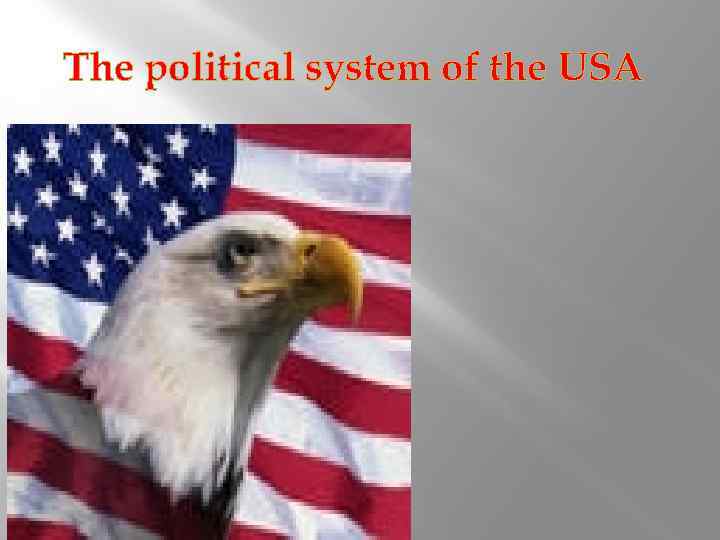 The political system of the USA 