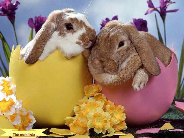 EASTER People celebrate the holiday according to their beliefs and their religious denominations. Christians