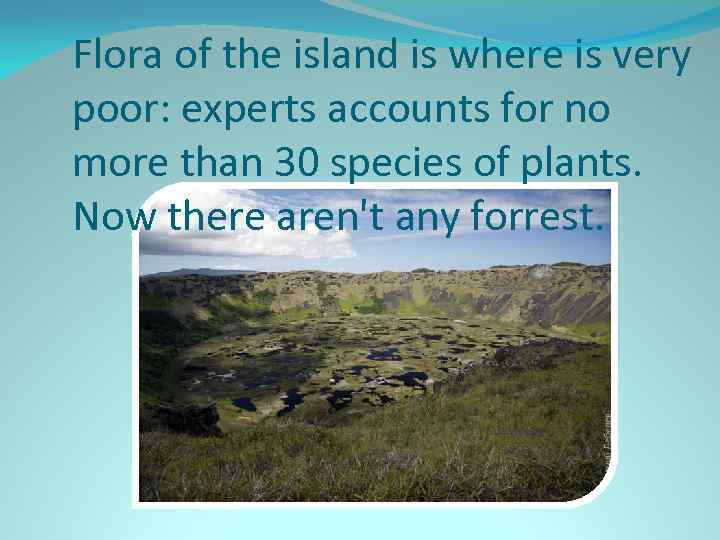 Flora of the island is where is very poor: experts accounts for no more