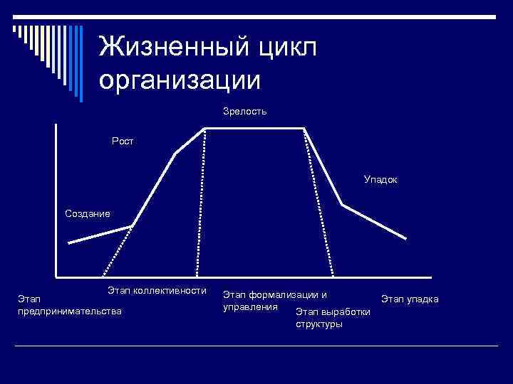 Жизненный цикл организации Зрелость Рост Упадок Создание Этап коллективности Этап предпринимательства Этап формализации и