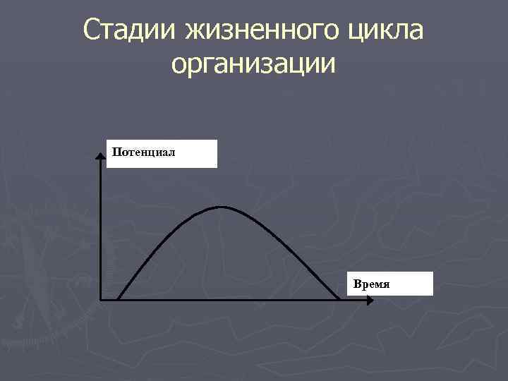 Стадии жизненного цикла организации Потенциал Время 