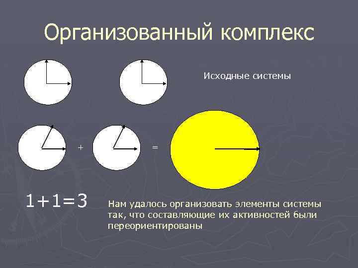 Организованный комплекс Исходные системы + 1+1=3 = Нам удалось организовать элементы системы так, что