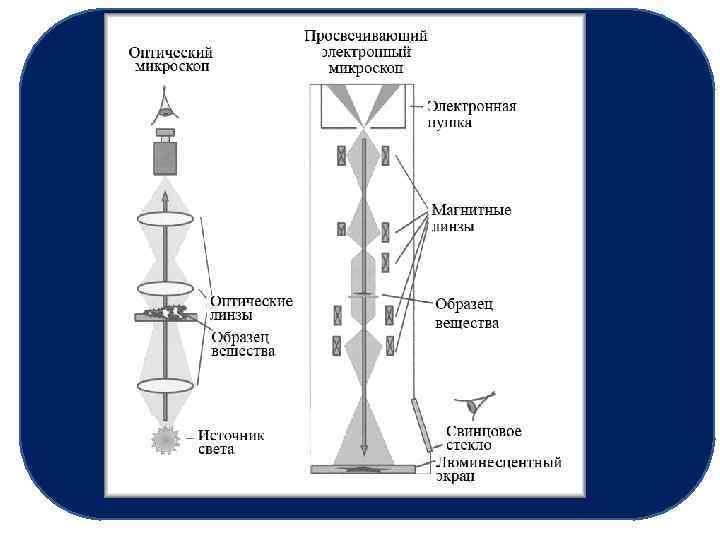 Схема электронного микроскопа