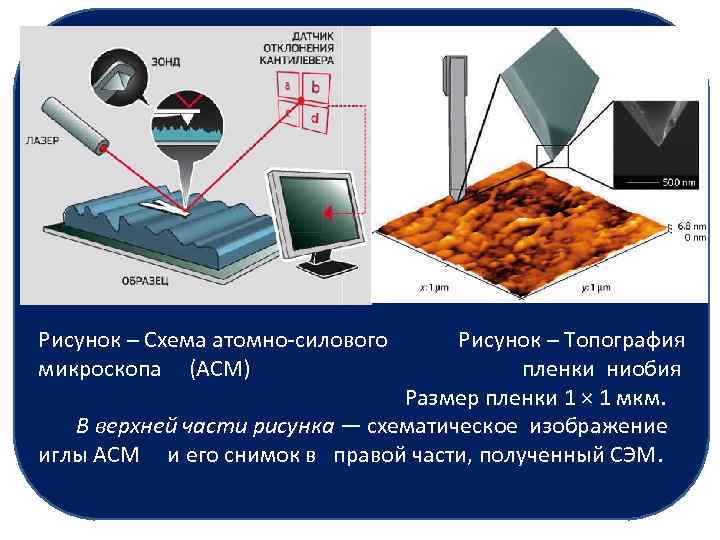 Рисунок – Схема атомно-силового Рисунок – Топография микроскопа (АСМ) пленки ниобия Размер пленки 1