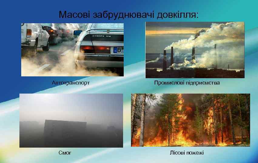Масові забруднювачі довкілля: Автотранспорт Смог Промислові підприємства Лісові пожежі 