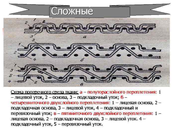 Сложные Схема поперечного среза ткани: а – полутораслойного переплетения: 1 – лицевой уток, 2